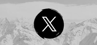 icono X